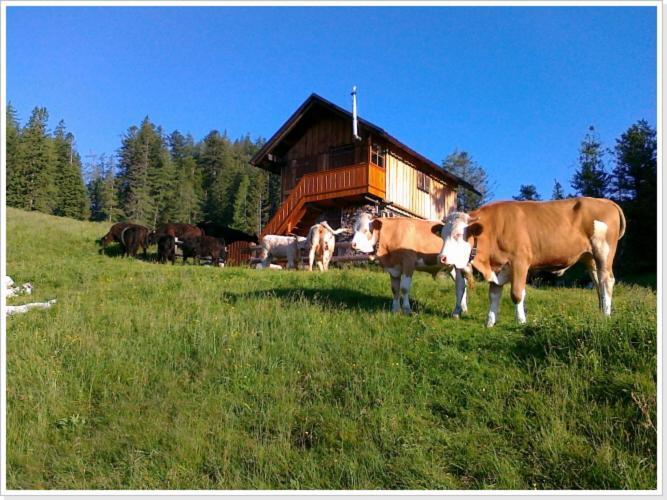 Ferienwohnung Haus Einhirn アルタウスゼー エクステリア 写真